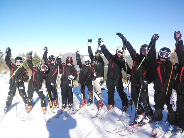Skii Group
