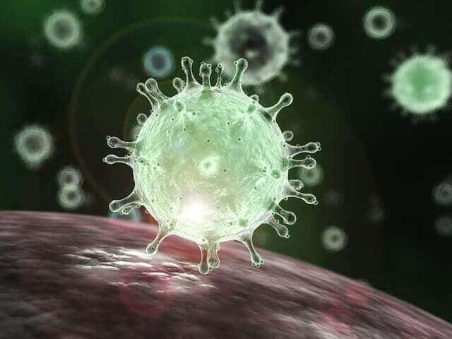 Coronavirus