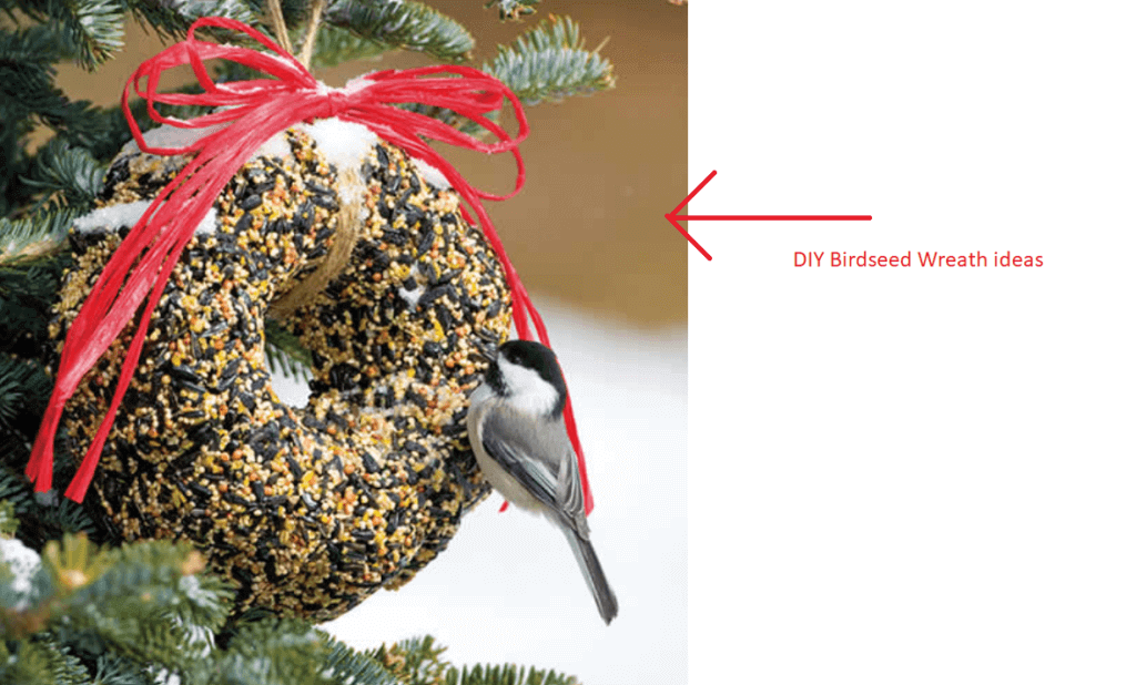 Birdseed-Wreath