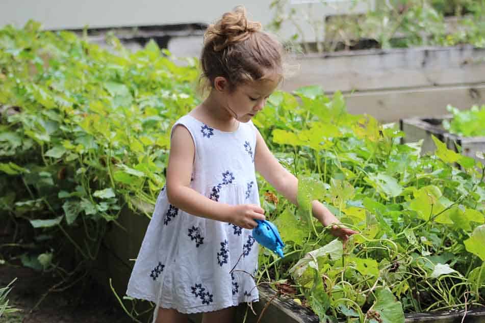 Les Elfes Verbier Summer camp - Kids gardening